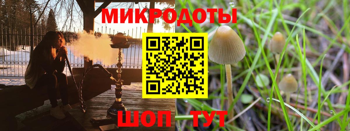 Галлюциногенные грибы ЛСД Вязники